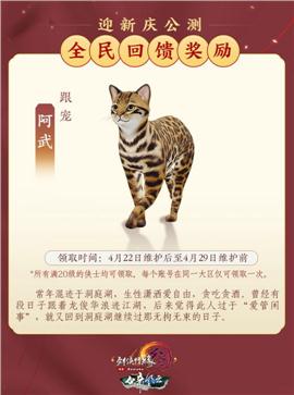 天龙八部私服 雷霆